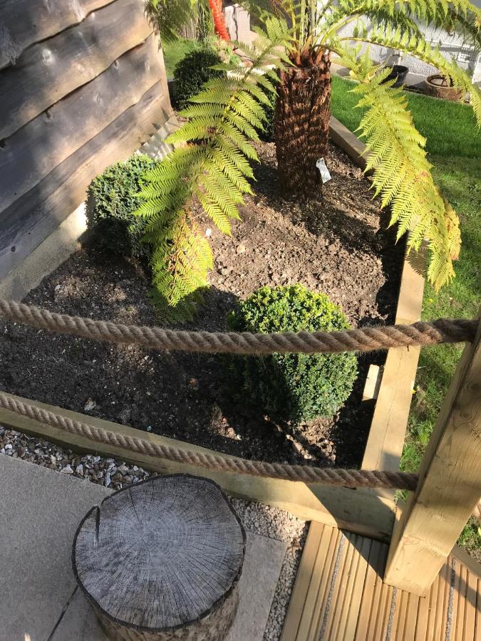 Winnie'S Corner - Self Contained Within The Grounds Of Another Property, In An Idyllic Wooded Setting Carlyon Bay Eksteriør bilde